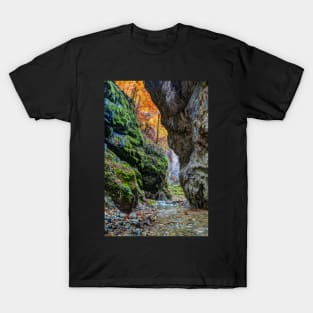 River in limestone canyon T-Shirt